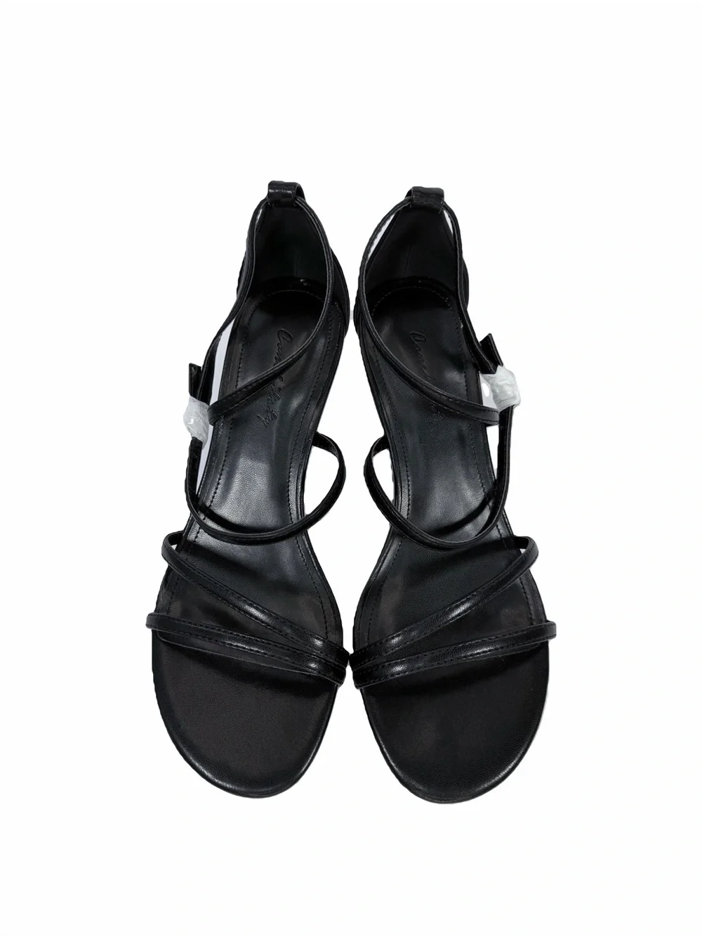 Conchitaty nwt kitten